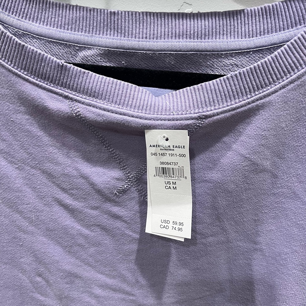 Oversized Aerie Crewneck - Picture 4 of 5
